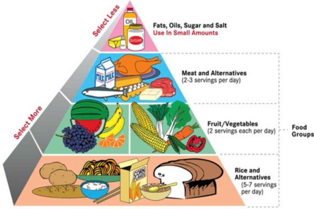 The Food Balance